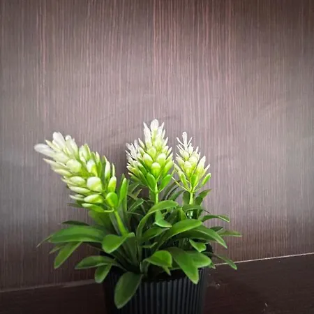Appartement Danai Nefeli *