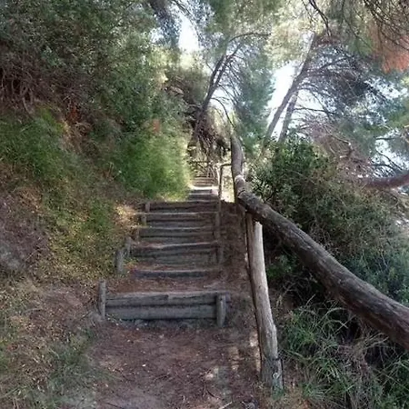 Danai Nefeli Siviri
