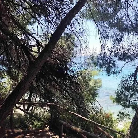 Danai Nefeli Siviri